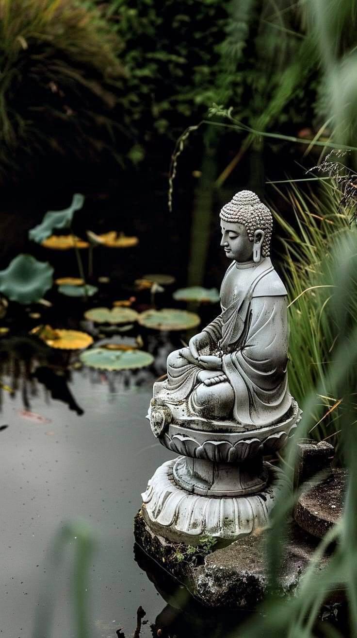 Hình Nền Hoa Sen Phật Giáo