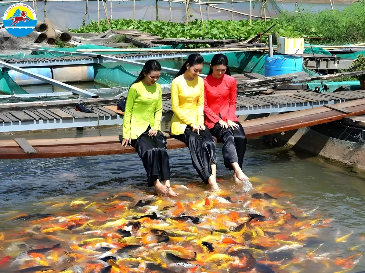 Người dân Cồn Sơn chăm sóc bè cá