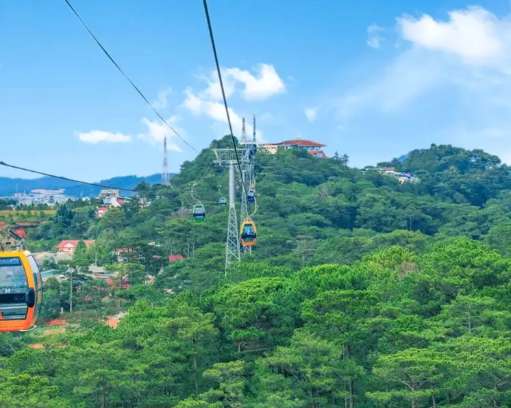 Toàn cảnh rừng thông Đà Lạt nhìn từ đỉnh Đồi Robin.